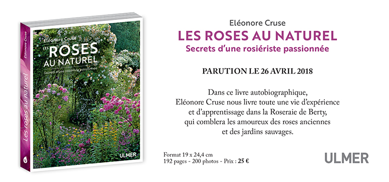 Les Roses au naturel par Éléonore Cruse